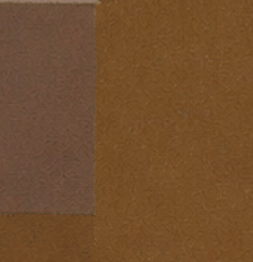 golden yellow / brown cashmere